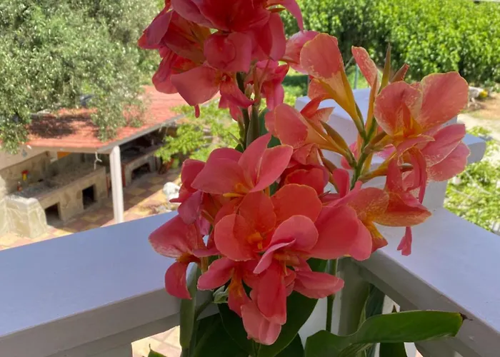 Tsatsoni Διαμέρισμα